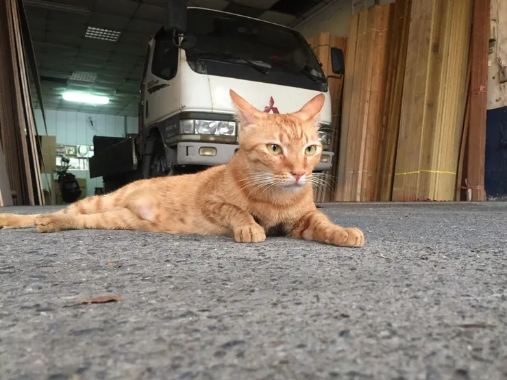 「我記水管就是大家的大哥，這裡是我管的!」OK夠霸氣，我喜歡!