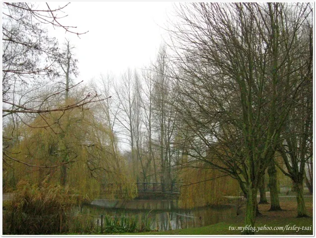 約克大學校園一隅