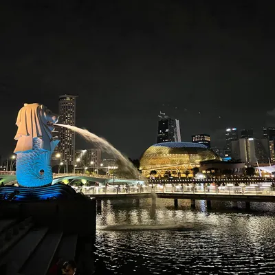 InSeanity Wang的沙龍