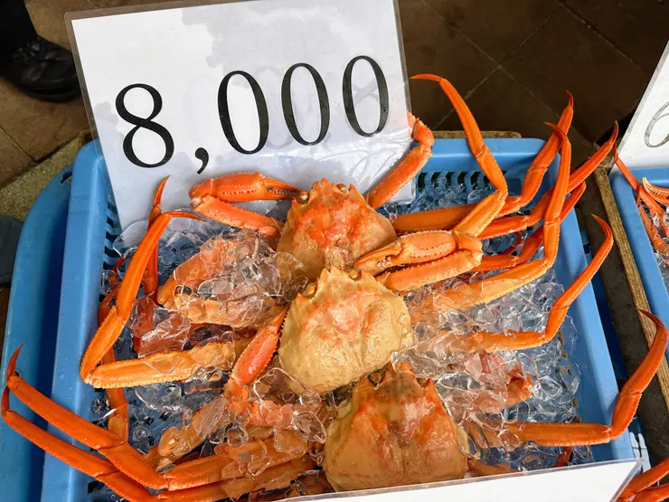 內行的人都知道，在這邊要點大隻一點不要被數字嚇到