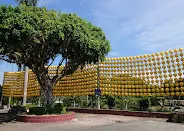 巨大古樹提供休閑空間（圖片截圖於網路）
