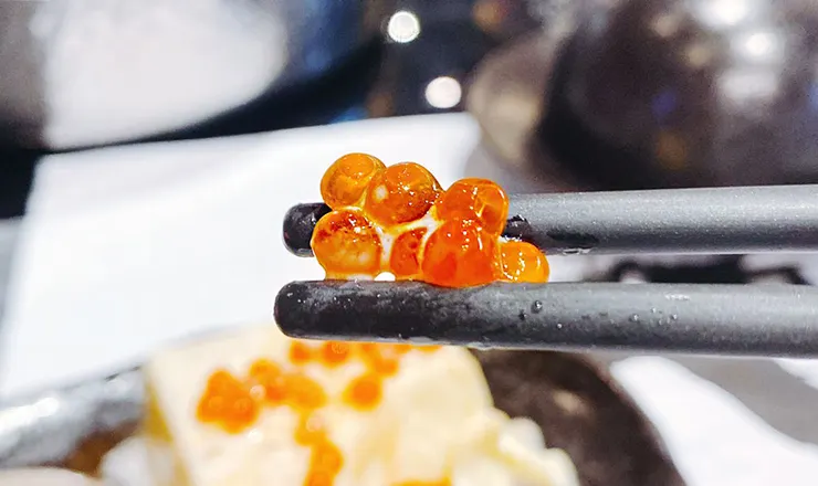 【武鶴和牛火鍋-吉林總店】A5和牛吃到飽、鱈場蟹腳吃到飽,送波士頓龍蝦│台北火鍋吃到飽推薦