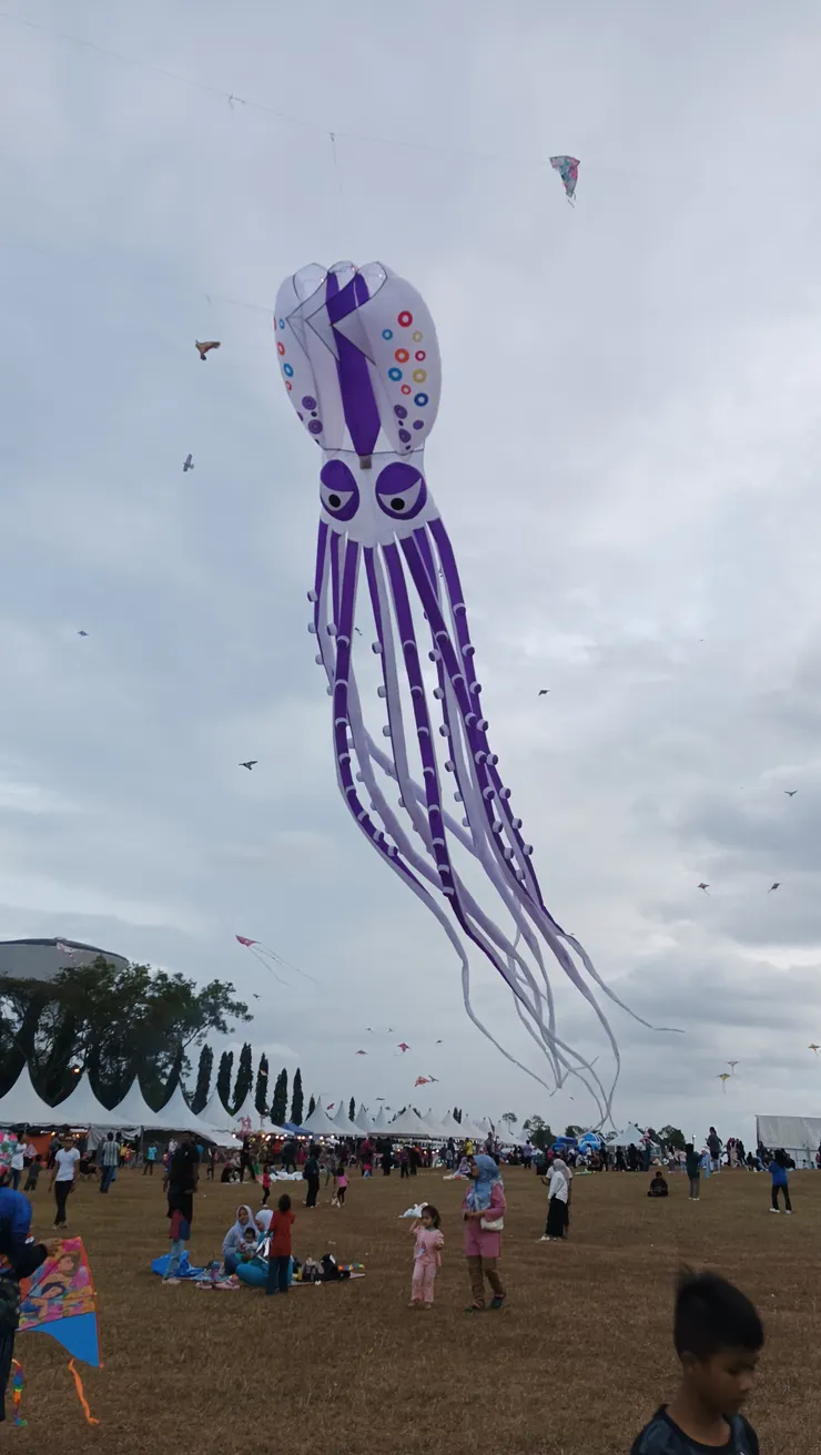 巨大章鱼风筝
