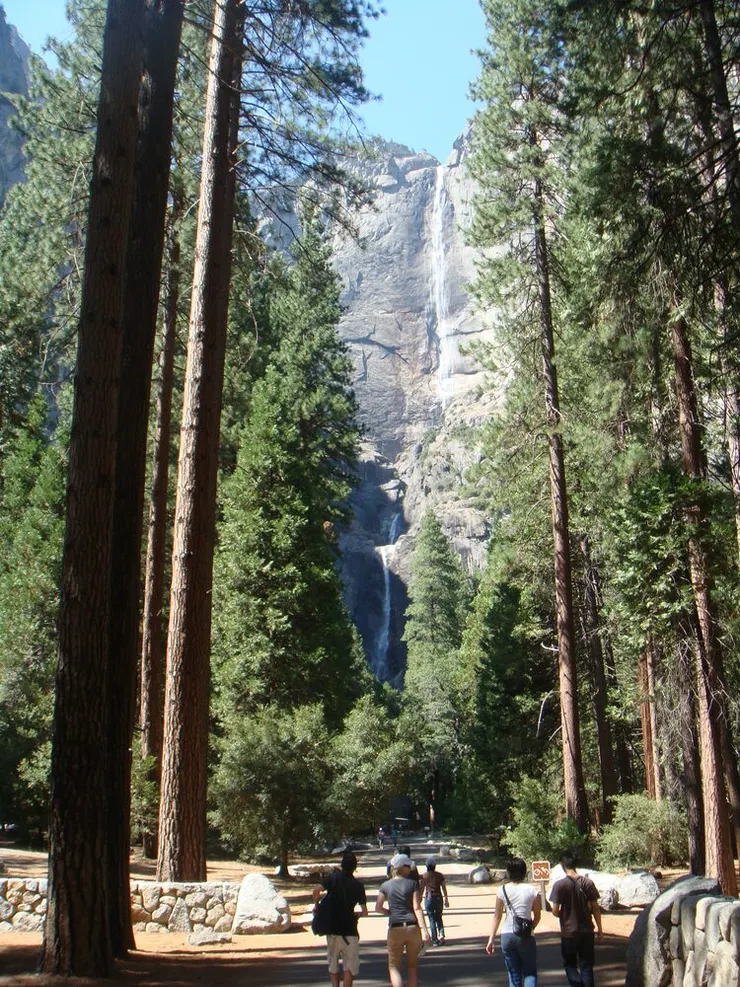 新娘面紗瀑布Bridalveil Falls