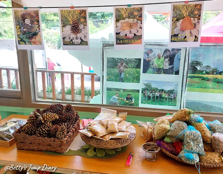 ▲2025花現台七「桃園繡球金針農遊趣」/ 圖片來源：Betty's Jump Diary