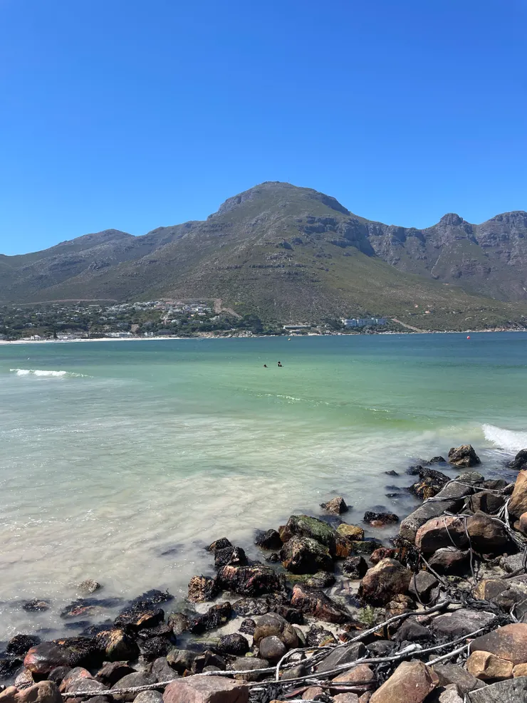 開普頓西岸的大西洋冷冷地~