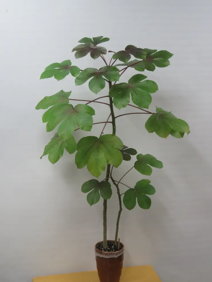 中山社大112.09.21