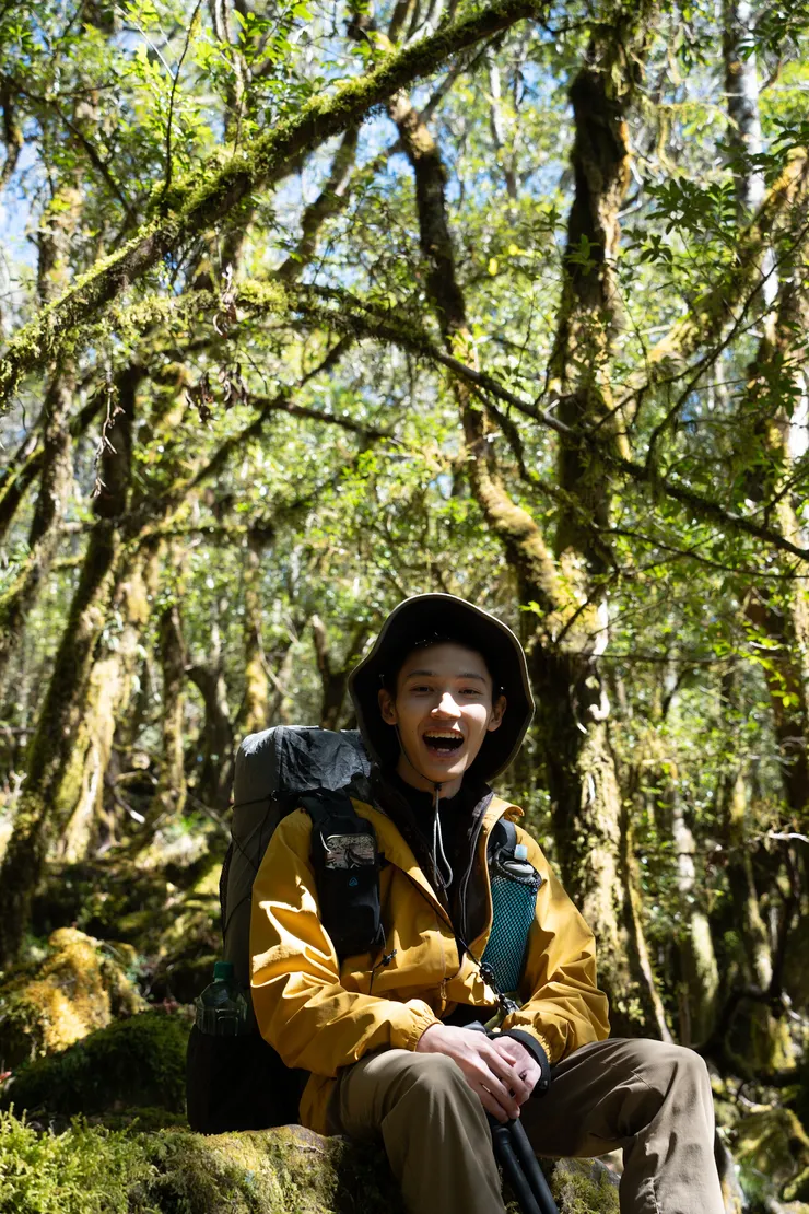 童話世界般的森林，隨著陽光落下，石頭有如翠綠寶石般閃耀著光芒