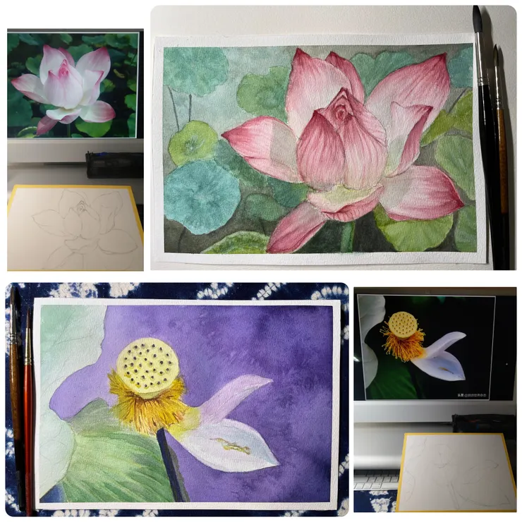 圖 YHCC@圖 YHCC@水彩練習, AUG2022 上圖 W07 夏荷26x18cm|下圖 W09 殘荷 26x18cm