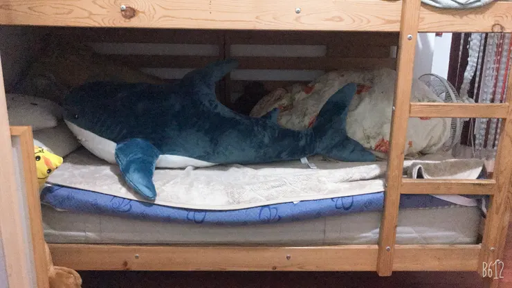 他送我唯一的生日禮物