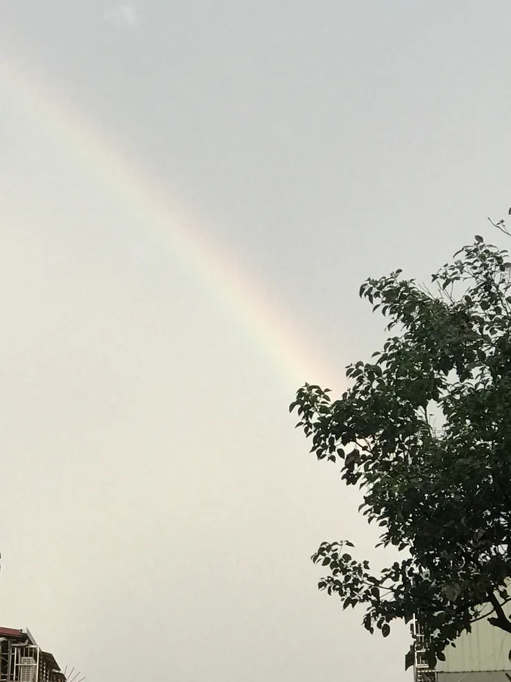 回家路上遇見彩虹