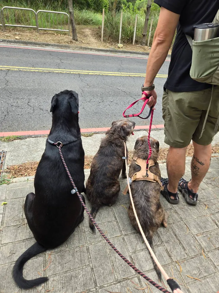 穿越馬路到另一邊的步道