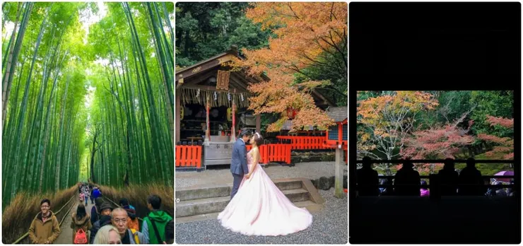 【京都景點】3個京都自由行景點推薦！新手必去！