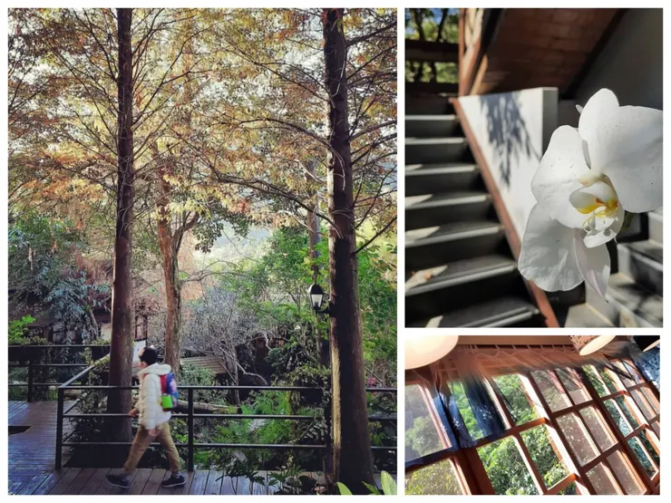 就算冬天來的光景，也非常地迷人。右下角是他們的書園子，外面就是小花園，藍染窗簾輕盈飄動美極了。