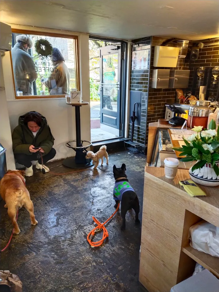 剛好有愛狗人士帶著毛小孩前來