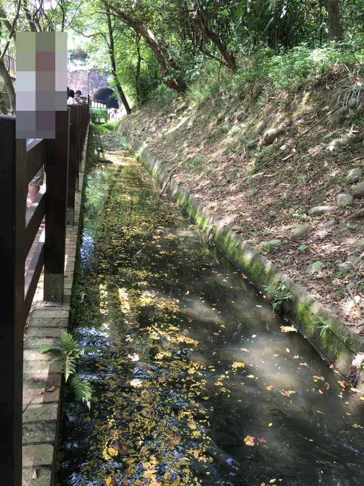 苗栗市公所在北側入口處闢建生態池