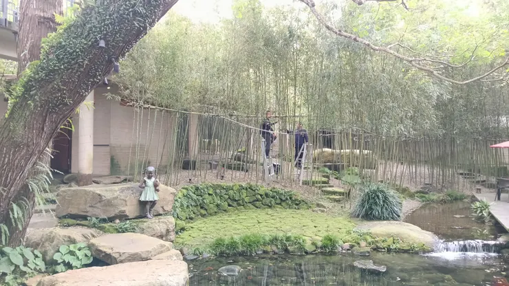 在這裡我感受到那份寧靜及舒適,吸收森林裡的芬多精