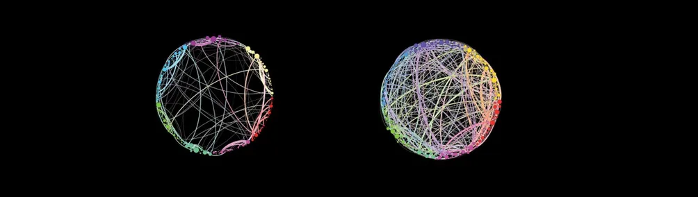 林艾德的大腦迷宮