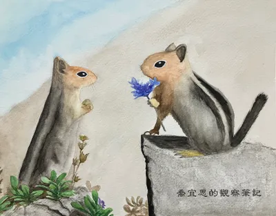 水彩手繪《花栗鼠》