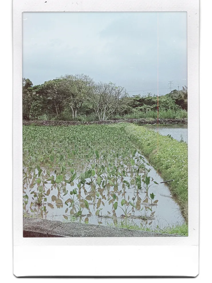 梵靈乾坤工作室提供