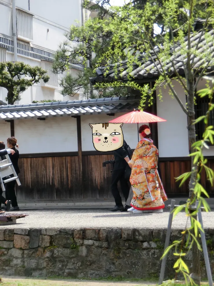 穿著色打掛(いろうちかけ)的新娘