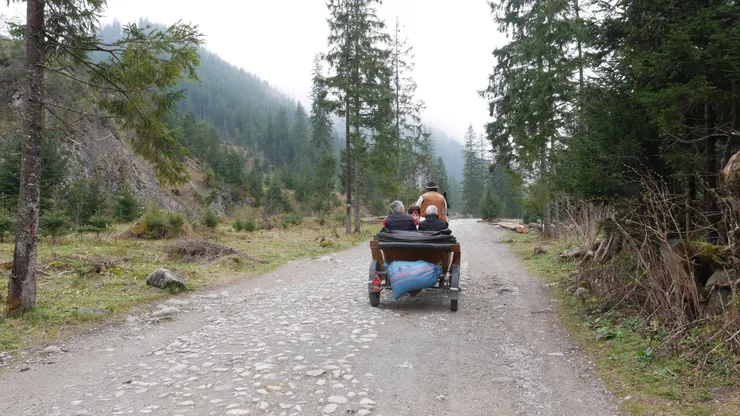 也有馬車，這我就不知道價格了，應該很貴，而且這種感覺都是石頭的路，馬會很難拖= =