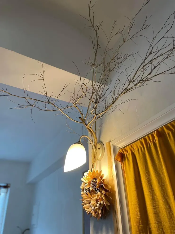 七里香到位了，枝幹、壁燈、植物花環這三者似乎是早早承諾相遇的好友，直到如今，終於滿足了靈魂裡的願，連結一起，美極了！