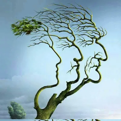 心領神會的沙龍