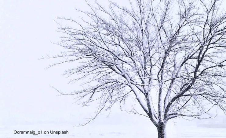 既然好景不會常在，同樣道理，噩運亦會有離開的一天。