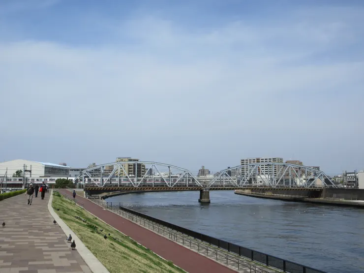 荒川自然公園河堤