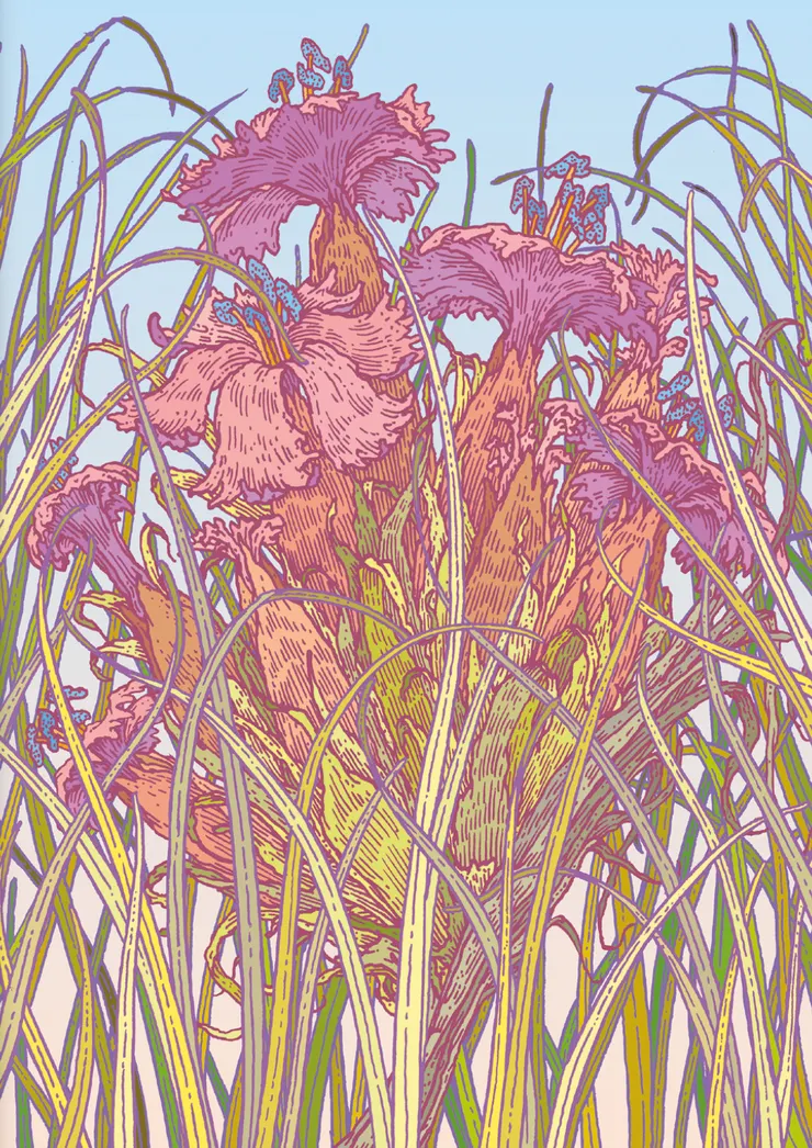 Grande fleur（2025) by Clément Vuillier, illustration for Down Under: The Curious Fall of a Child Who Knew Nothing and Became Everything by Formafantasma (NERO Edi- tions & C-mine, 2025) © Clément Vuillier, Courtesy: Clément Vuillier