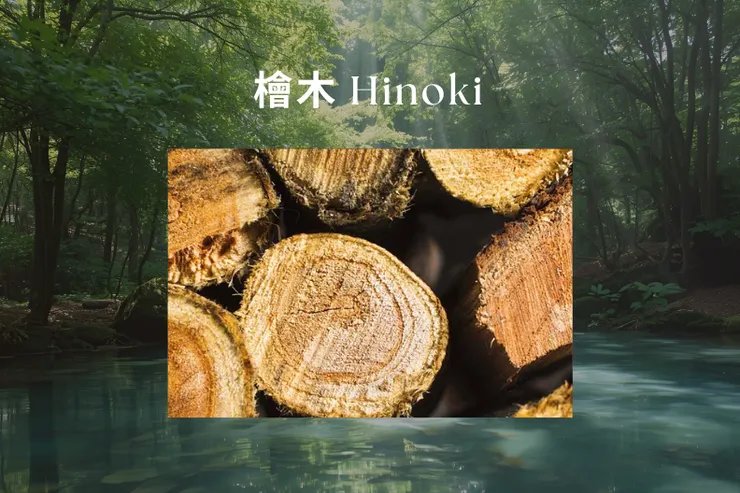 檜木 Hinoki —— 清冷、禪意、空氣感