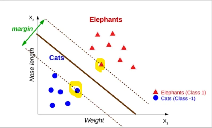 中間粗線是分隔線；支持向量是螢光筆區圈起來的點。