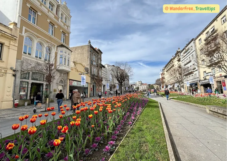 【Av. da Liberdade】大道一隅