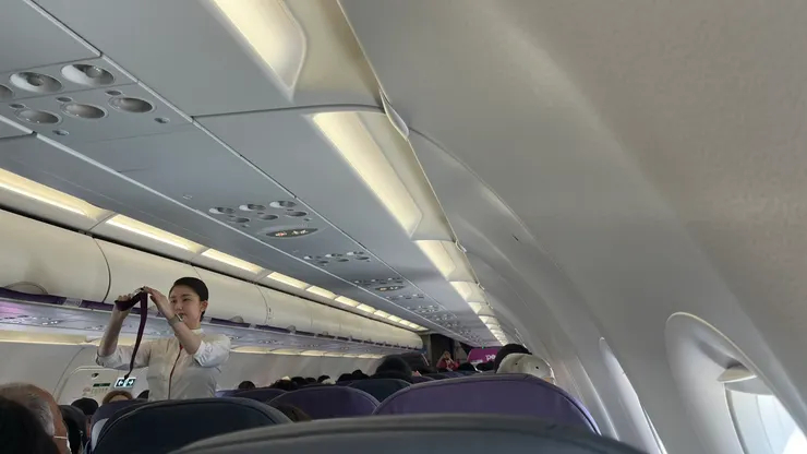 日英文都會使用，不用太擔心。