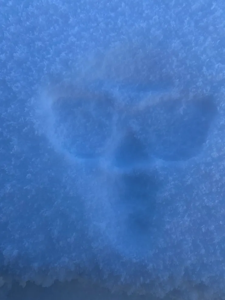 還學人家玩臉拓,好不容易暖活的身子馬上又變冷了