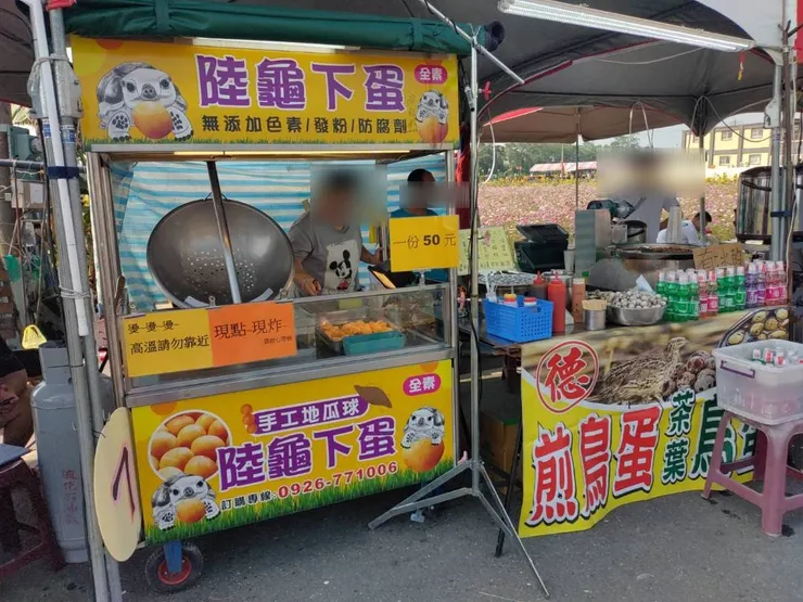 陸龜下蛋~ʘ⁠‿⁠ʘ