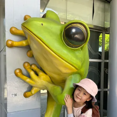 資深🐸粉的沙龍