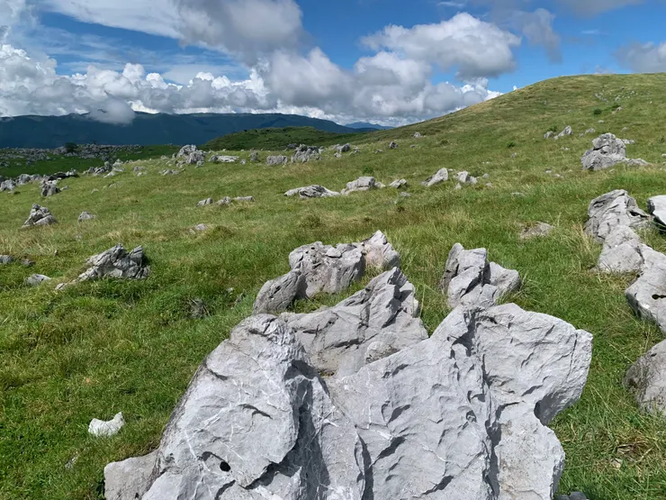 一顆一顆的白色大石頭。