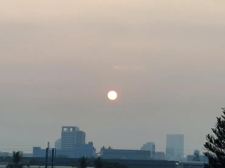 又幸運還活著能看到今天的太陽