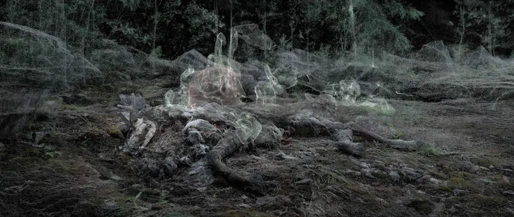 《變體》(Variants),圖片來源:https://www.e-flux.com/announcements/473018/pierre-huyghevariants/