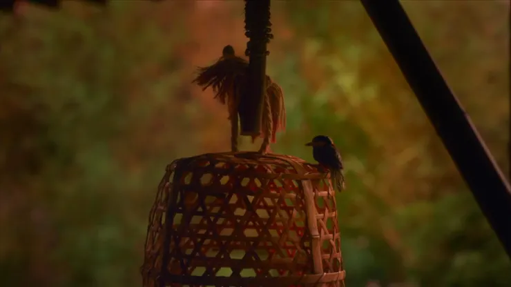 啁啾鳴叫的小雀注視著父女倆