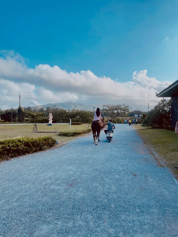 一開始馬兒教練會先牽著。｜攝影：sunnyah