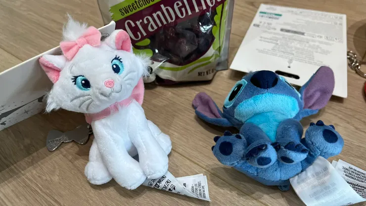 去迪士尼還是要帶點朋友回家。