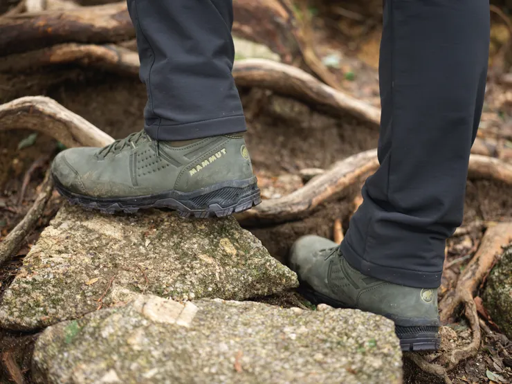屋久島白谷雲水峽裡的MERCURY