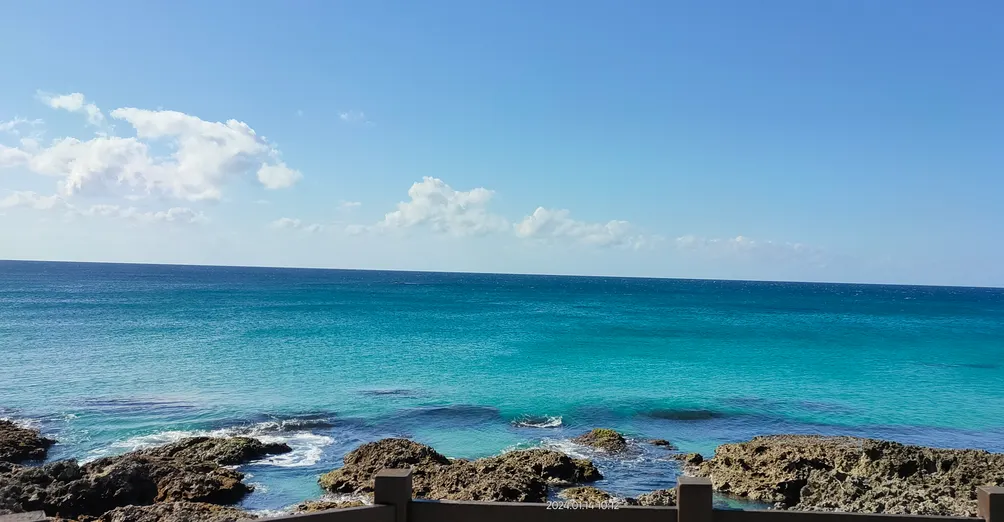 九月愚人～的沙龍