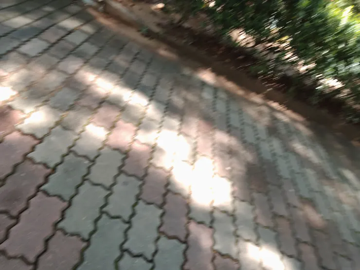 無意間拍到的模糊,有種美感