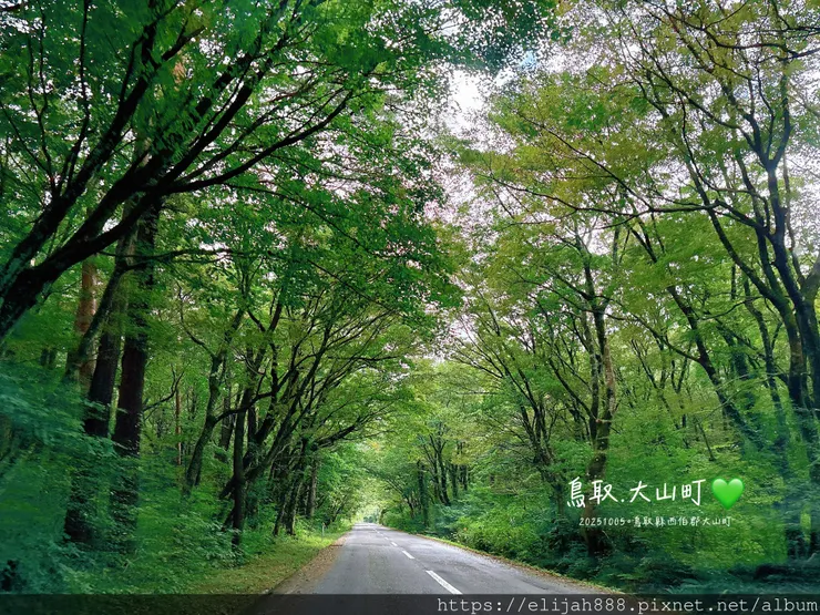 【2025初秋.鳥取県鳥取市/大山町】白兔海岸/白兔神社/鳥