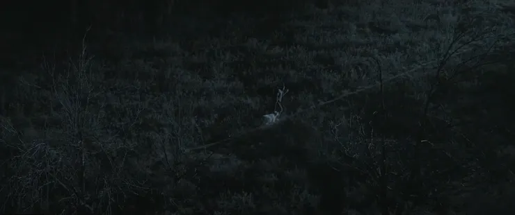 《三個羯子》電影劇照／金馬影展 提供