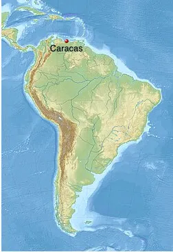 2025/01/16 截圖自 Wikipedia